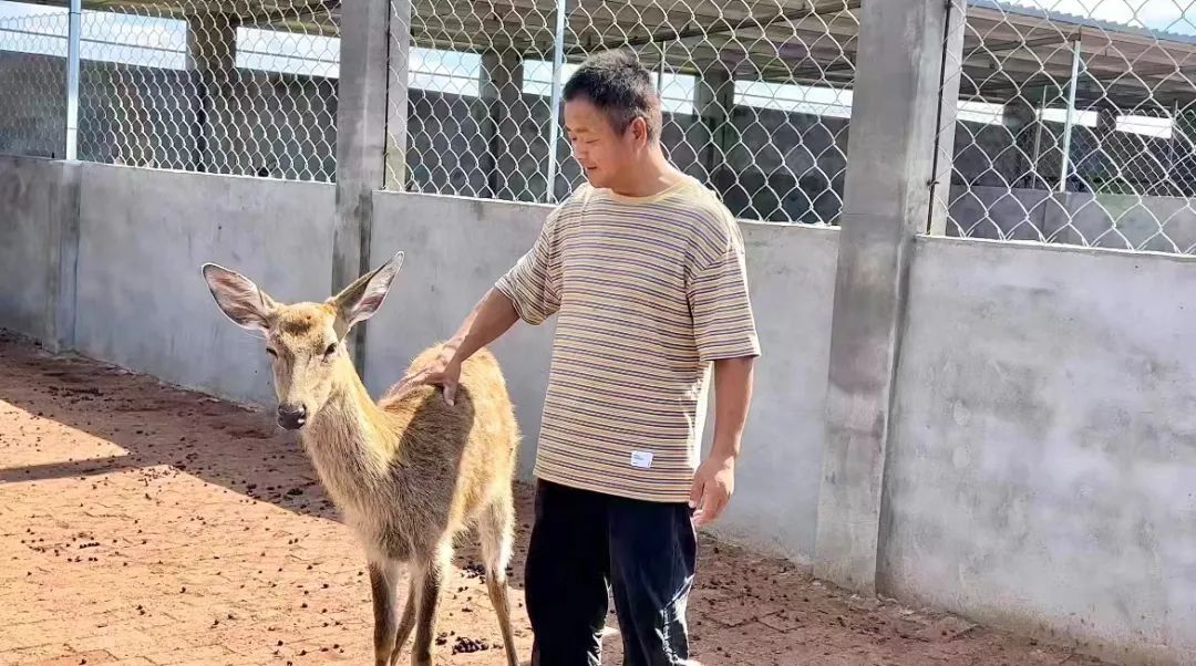 幸运双星游戏