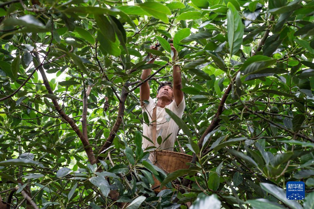 电娱游戏官网